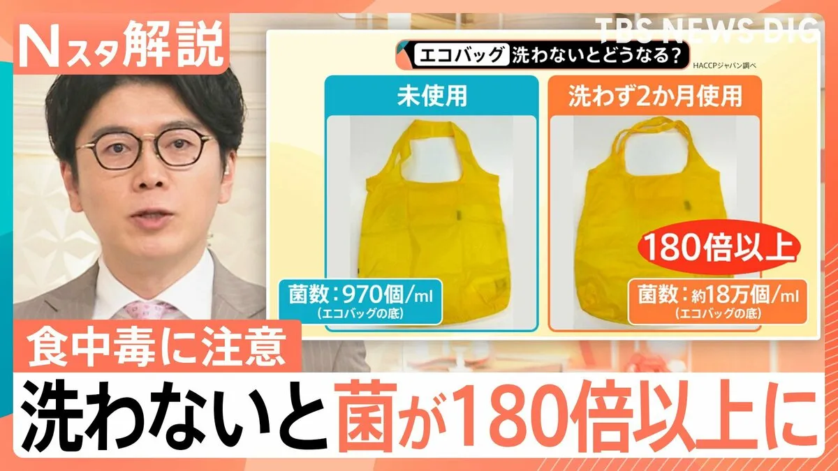 “5月の食中毒”に要注意！「食中毒対策は買い物の時から始まっている」エコバッグにも落とし穴？見落としがちな盲点とは【Nスタ解説】
