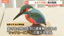 実物大の鳥の彫刻を直接触れる“タッチカービング” 「多くの鳥を触って目の見えない人に記憶してもらいたい」【SUNトピ】