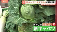 家計の救世主？いま旬の「新物野菜」が安くてうまい！新ジャガイモに…新タマネギも　オススメは新キャベツ 甘味が強くシャキシャキ