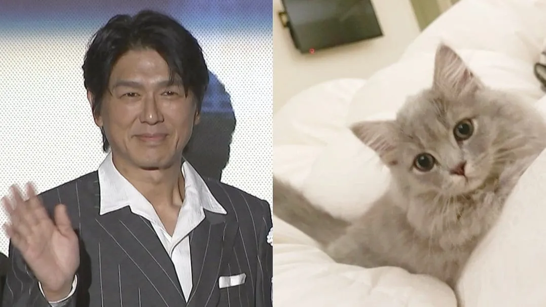 【 ねこ 】高橋克典さんの愛猫「ミルリィ」少しずつ馴染む　「だいぶ近づいてきてくれるようになりました」