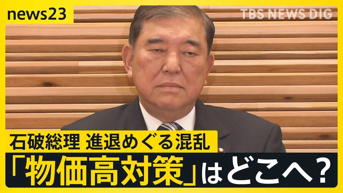 参院選公約の「物価高対策」はどこへ？2万円給付は？　進まない背景に石破総理の進退めぐる混乱【news23】