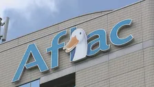 アフラック生命保険 金融庁から報告徴求命令 不正アクセスで438万人分の顧客情報流出めぐり