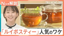 市場規模5年で10倍！人気急上昇「ルイボスティー」数千人の雇用創出、飲む以外の活用法も【Nスタ解説】