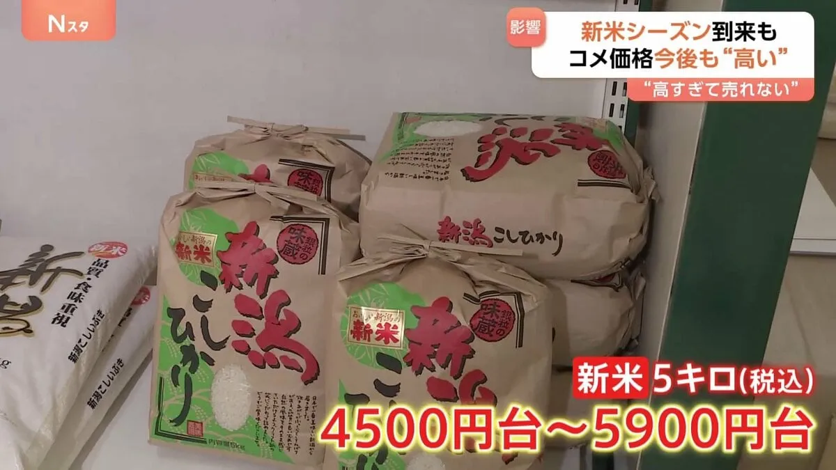 新米シーズンも“高すぎて売れない”…　価格高止まりで“コメ離れ”じわり　今後も「高値続く」見方が優勢か