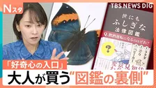 “不思議な法律”に“定番”まで…好奇心の入り口　大人もハマる！進化する図鑑の世界【Nスタ解説】　