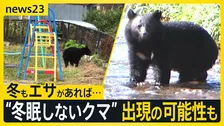 取材中にクマと遭遇…ハロウィーンパーティーは急きょ屋内に変更 なぜ人の生活圏に出没?専門家からは“冬眠しないクマ”出現の可能性も【news23】