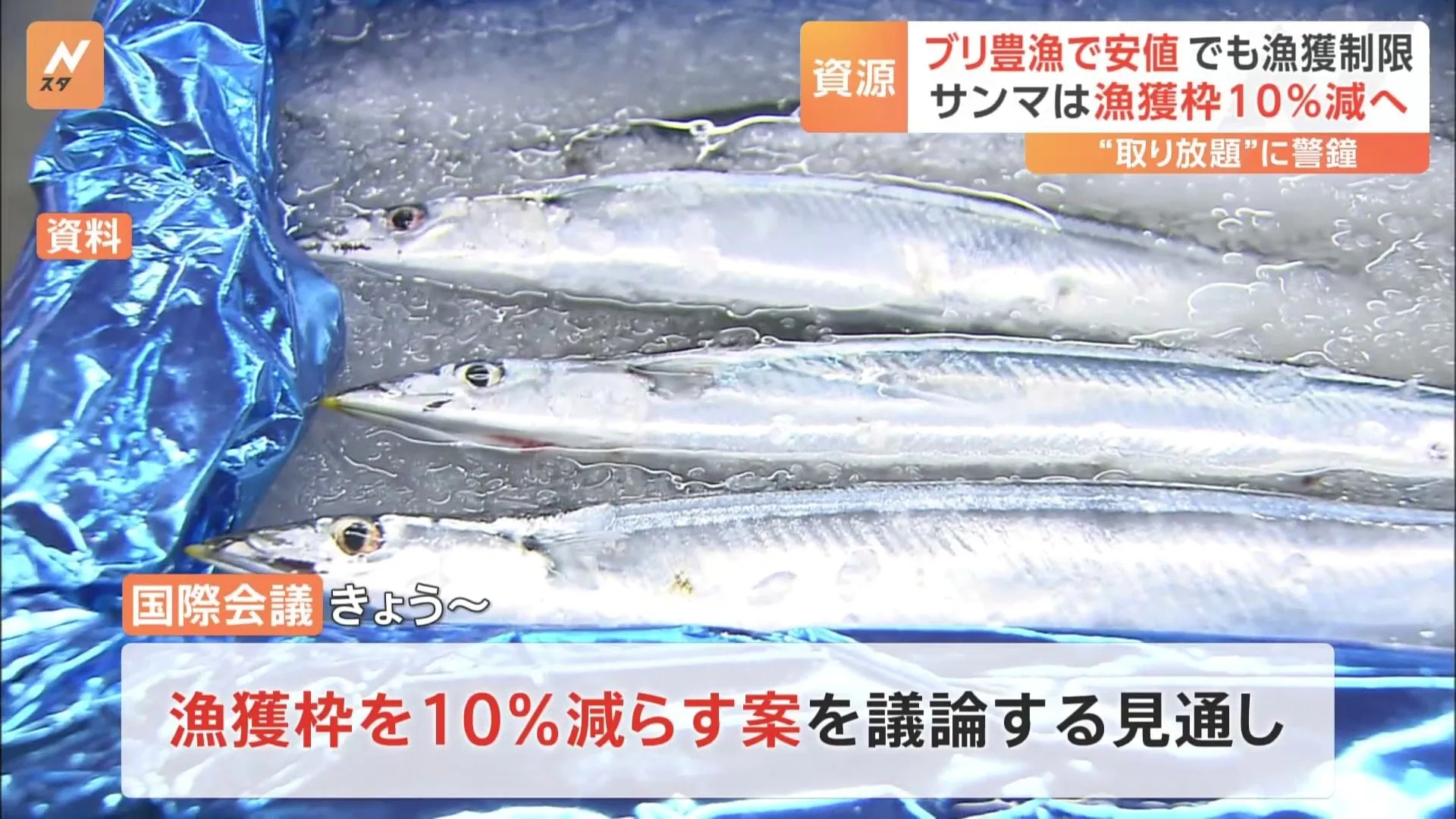 長年不漁が続くサンマ 漁獲枠を10%減へ国際会議が議論も　専門家「“取り放題”の状況は変わらない」