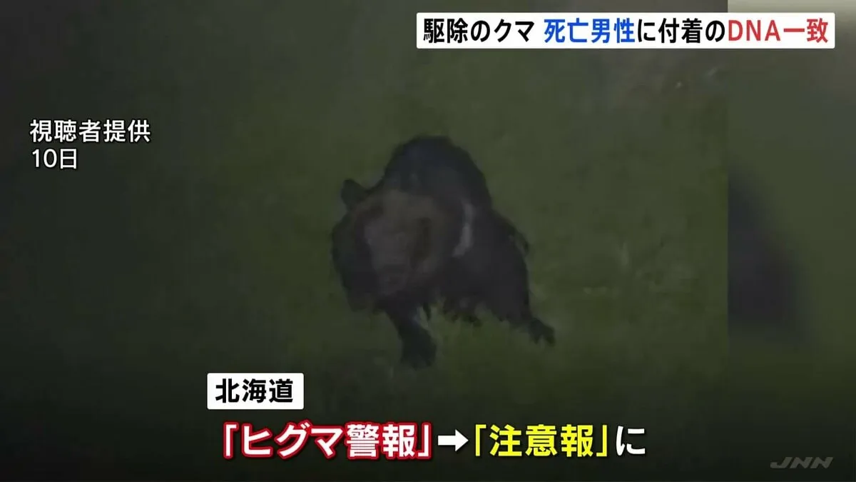 駆除したクマのDNA型　12日死亡の男性に付着した体毛のものと一致　4年前70代女性を死亡させたクマとも一致　北海道・福島町