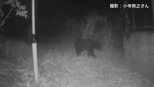 「人間の警戒のレベルは上げる段階にきた」東京・八王子市で“クマ対策プロジェクトチーム”始動　市内の地形など特徴ふまえたマニュアル作り