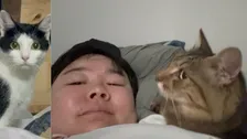 【 やす子 】保護猫3匹目「コタ」4匹目「ヘチマ」を紹介　千葉に移住し保護猫9匹と暮らす〝飼い主がお迎えに来なかった子〟など背景も説明