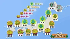 花粉に注意！東京都心は4月中旬並みの暖かさに　関東から西の太平洋側は晴れて気温上昇　一方、日本海側は雨降りやすい予想【2月28日の天気】