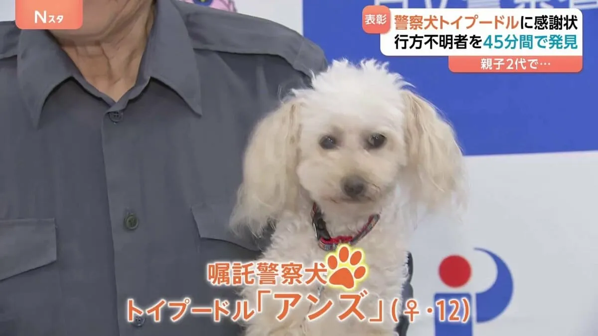 トイプードルの警察犬「アンズ」 行方不明の高齢男性を見つけ表彰　先月には娘「エリー」も