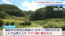キノコ採りで山林に入った61歳男性がクマ1頭に襲われ顔などけが 会話はできる状態　長野・伊那市