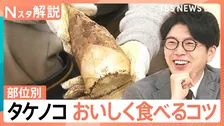 今年はタケノコ「表年」で豊作？ えぐみを抑える選び方と“米ぬか不要”のアク抜き術【Nスタ解説】