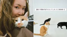 【 熊本地震 】〝震災で愛猫が迷子になってしまったご家族様へ〟紗栄子率いる保護猫支援活動が〝探すためのポイント〟呼びかけ【 全文掲載 】