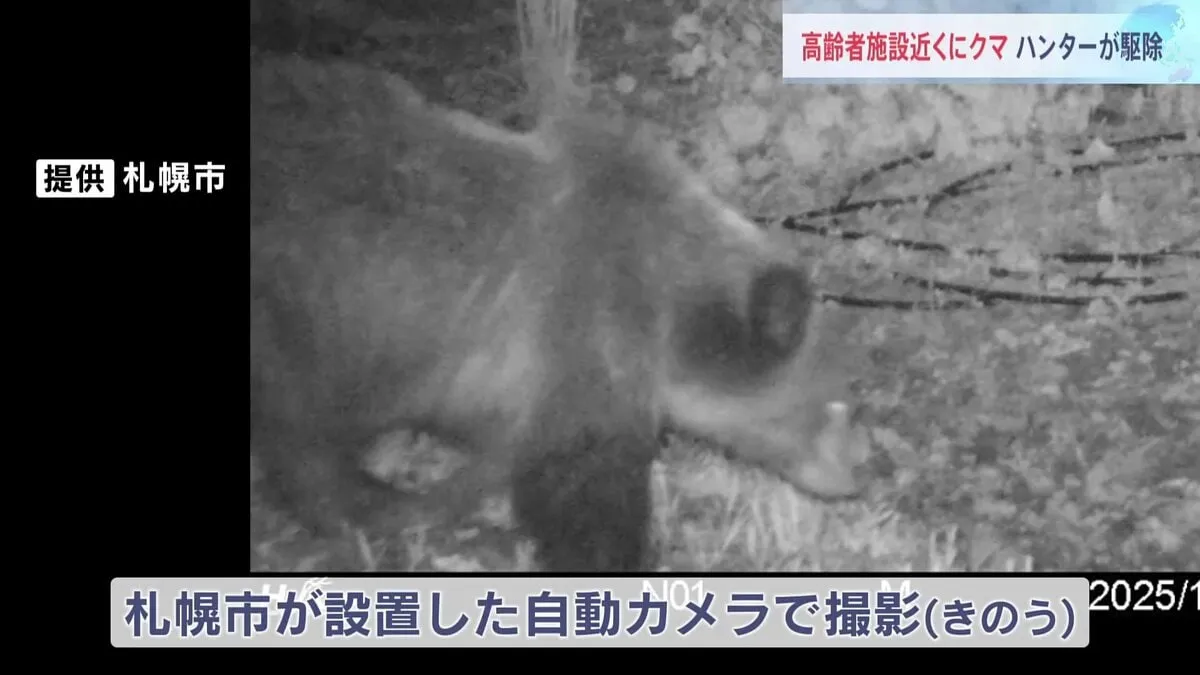 高齢者施設近くに居座り続けたクマ1頭を駆除 ハンターが発砲「2発の銃声が響き渡りました」 体長1.1mのメス 札幌市