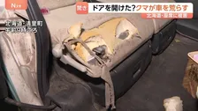 軽乗用車がクマに荒らされる 後部座席が破られ窓ガラスに16センチの足跡 北海道・清里町の住宅前