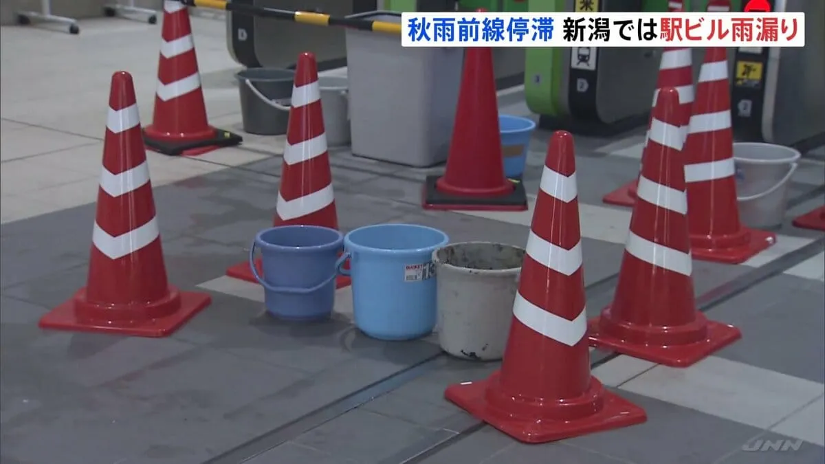 新潟で大雨　新潟駅の駅ビルが雨漏り、書店の本に大量の雨が…　突風で倒木に民家が押しつぶされる被害も