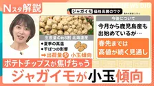 ジャガイモが小玉化…ポテトチップスは“焦げ”の危機？企業が挑む10年にわたる「暑さに強い品種作り」【Nスタ解説】