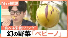 「日本では幻の果実」メロン？洋梨？野菜なのに甘い“食べる栄養ドリンク”と注目の新野菜「ペピーノ」【Nスタ解説】