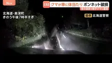 「やばいやばい」クマが何度も車に突進…ボンネットに乗り上げる　ドラレコに一部始終　北海道・美深町