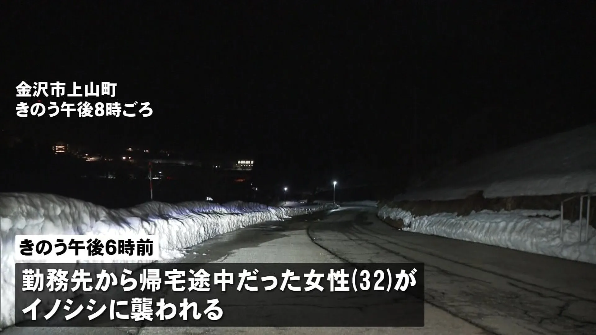 イノシシに襲われ 32歳の女性けが　尻や太ももかまれる　金沢の山あい集落