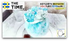 “氷がいらない”家庭用かき氷機も登場…最新「かき氷」事情【THE TIME,】 