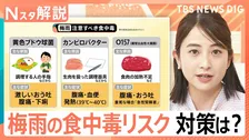 「○○の箱」が菌の温床に？家の意外な場所に潜む食中毒の危険性【Nスタ解説】