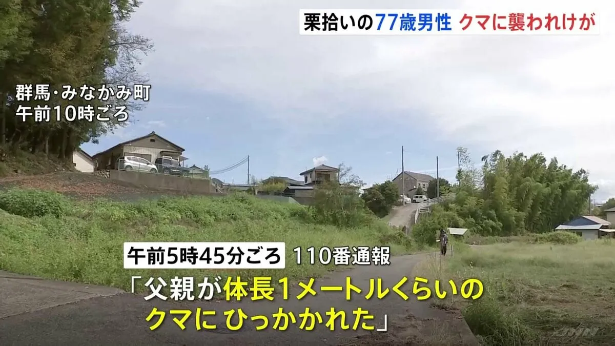栗拾い中に背後から…　群馬県みなかみ町でクマに襲われ70代男性が軽傷　クマはその場から逃げ去る