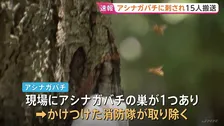 10代未満から50代の男女15人がアシナガバチに刺される　全員意識あり軽傷　巣は消防が取り除く　茨城・つくば市の遊歩道