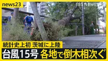 “逆走台風”15号 茨城県に初上陸 各地で倒木相次ぐ お盆期間中の空の便にも影響【news23】