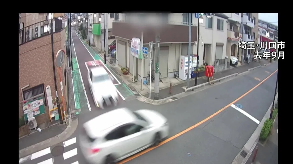 飲酒運転で逆走して車に衝突し男性死亡　危険運転致死などの罪に問われた中国籍の男（当時18）に懲役9年の判決　さいたま地裁