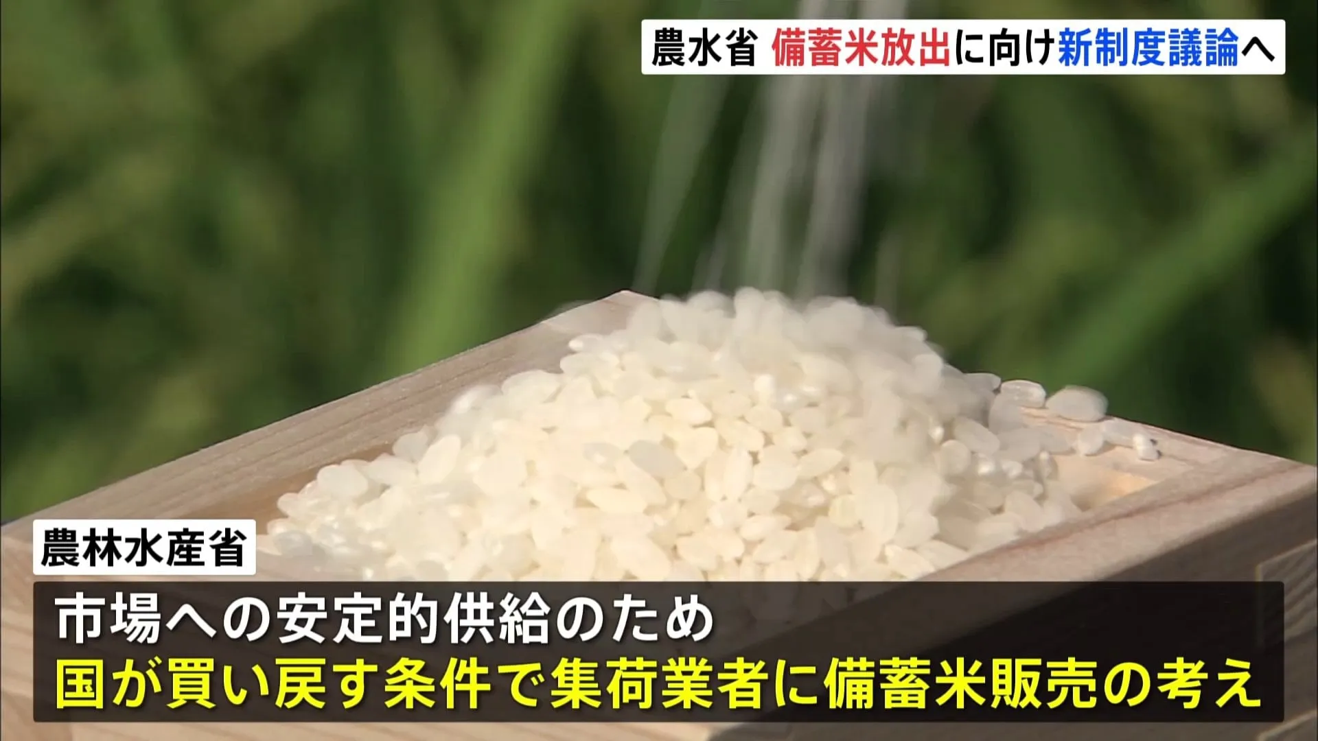 コメの価格高騰　政府の備蓄米を放出できるようにする新制度について議論　農水省