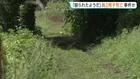 「殴られたようだ」相模原市の農道で意識のない男子高校生（17）が見つかる　その後死亡　事件に巻き込まれた可能性があるとみて捜査