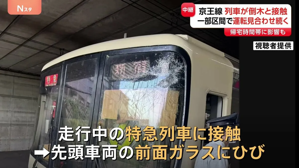 京王線の特急列車が倒木に接触　先頭車両の前面ガラスにひび　一部区間で運転見合わせ　つつじヶ丘駅～仙川駅間で線路近くの木が倒れる