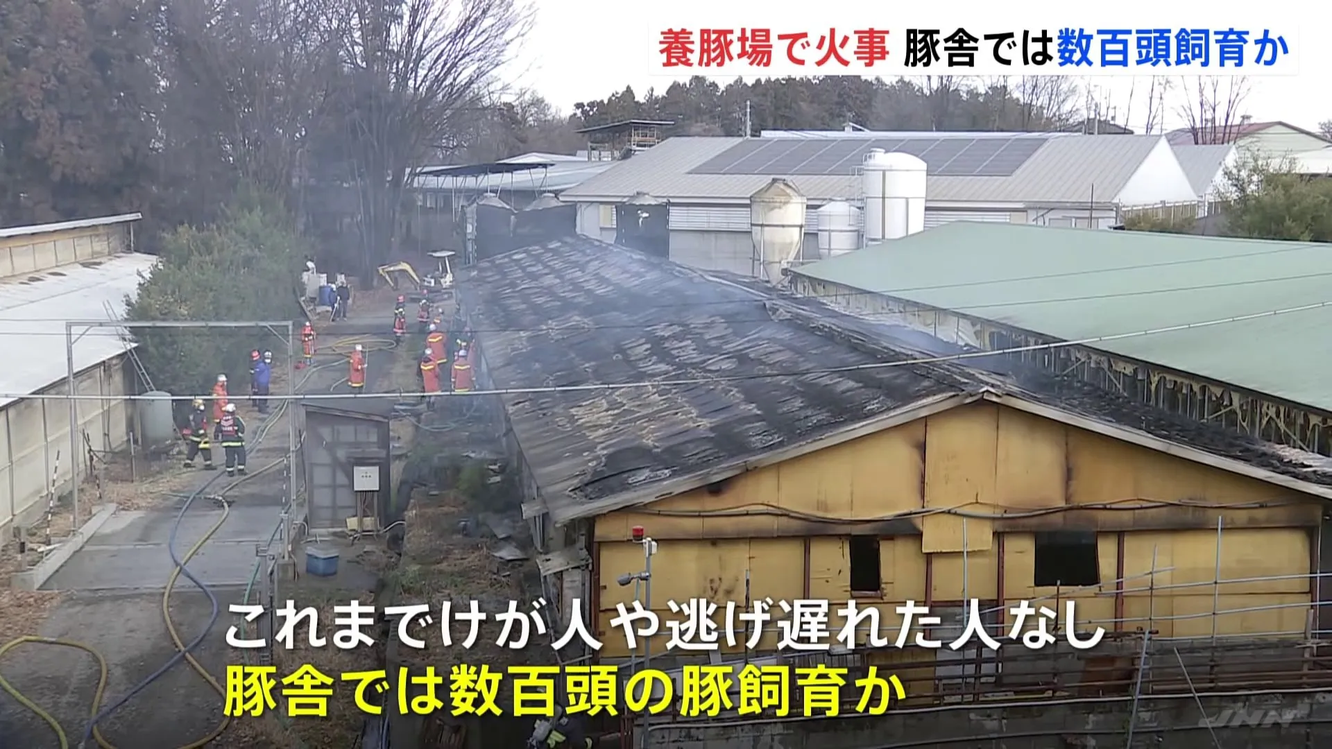 養豚場で火災　豚舎には豚が数百頭いるという情報も　けが人・逃げ遅れた人はなし　群馬・安中市