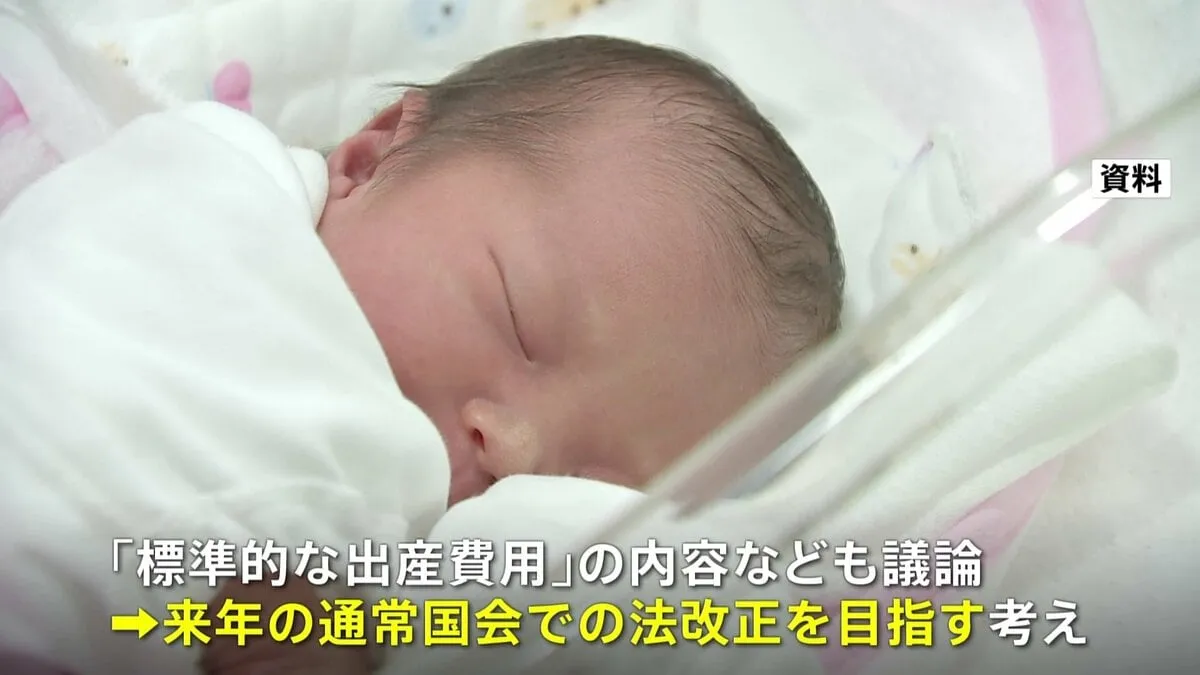 「標準的な出産費用」の自己負担を無償化へ　保険適用は年末まで議論