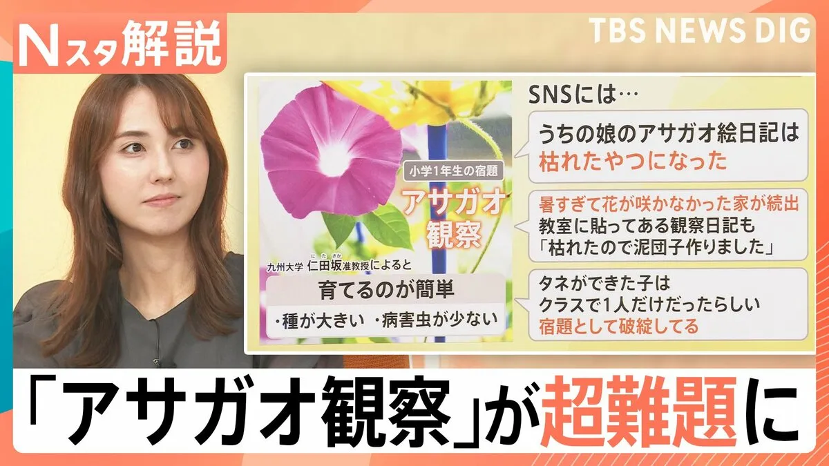 「宿題として破綻」アサガオの観察が超難題に？ラジオ体操は1週間だけ？暑さで夏休みの定番に異変【Nスタ解説】