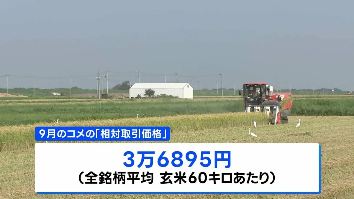 相対取引価格3万6895円　前年同月比6割増　過去最高値を更新　概算金高値が要因