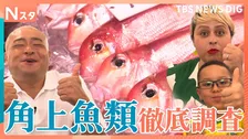 外国人にも人気の鮮魚スーパー「角上魚類」 なぜこれほど新鮮で安い？驚きの舞台裏をあばれる君と魚好きブラジル人親子が調べてきました！【それスタ】
