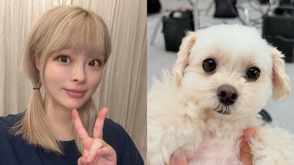 【きゃりーぱみゅぱみゅ】　「あめちゃん7歳おめでとう」毎年恒例　愛犬（あめちゃん）の誕生日を報告　「もふもふ触りたい」「7歳には見えないベビーフェイス」「お目目きゅるきゅる」など反響続々