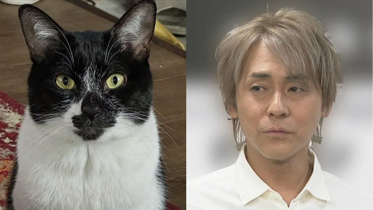 【 ねこ 】ヒロシさんの愛猫 “敦司” (アツシ)「寒くなりましたね」季節の挨拶 フォロワーから親愛の声「冬毛キターーー」