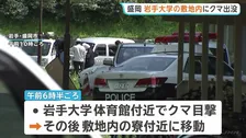 岩手大学でクマ出没　敷地内で目撃→学生寮付近に移動か　寮生に外出自粛要請・一部の授業を休講