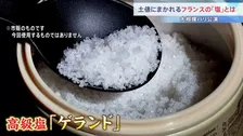 土俵にまかれる世界最高峰フランスの塩「ゲランド」　今夜（13日）から大相撲パリ公演　「どうすれば力士になれますか？」公演前には地元小学生と相撲稽古も…