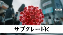 新たな変異ウイルス「サブクレードK」　インフルエンザ今年の流行は10年間で最大規模の可能性