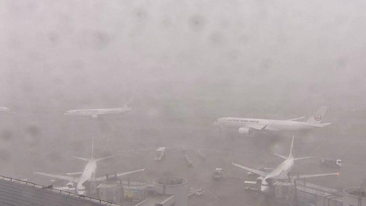 雷雨の影響で空の便に大幅な乱れ　ANAは73便欠航　JALは55便欠航