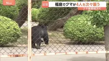 「クマに噛まれた」福島市の工場や住宅街に出没　4人けが　防犯カメラに従業員を襲い、走って追いかける様子　今も工場に居座りか