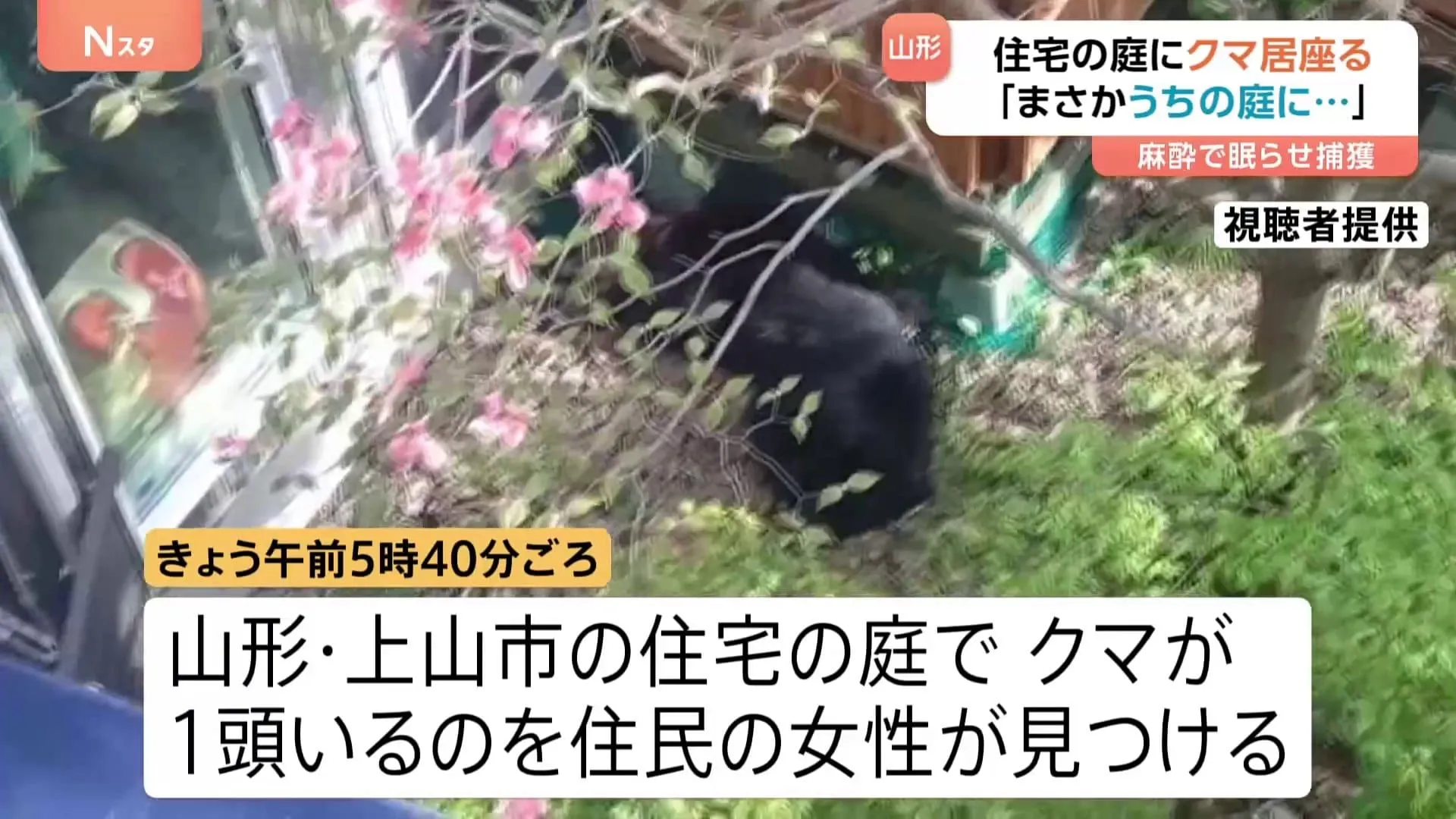 「まさかうちの家の庭に出るとは」山形・上山市でクマ出没　付近の中学校では登校を遅らせる措置も