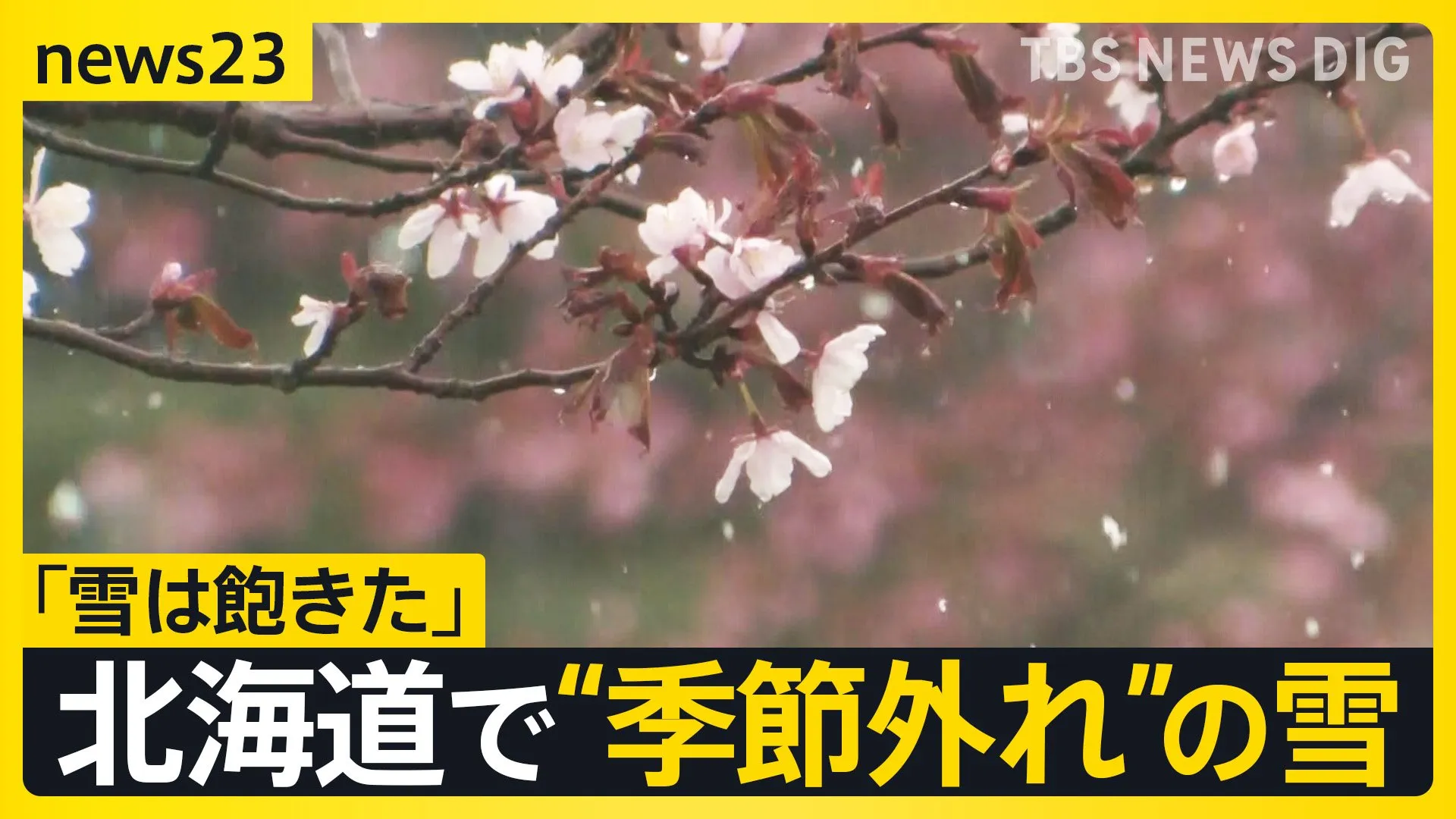 ゴールデンウィーク各地にぎわい　空からみた大行列　北海道では“季節外れ”の雪も…「雪は飽きた」GW後半4連休の天気は？【news23】