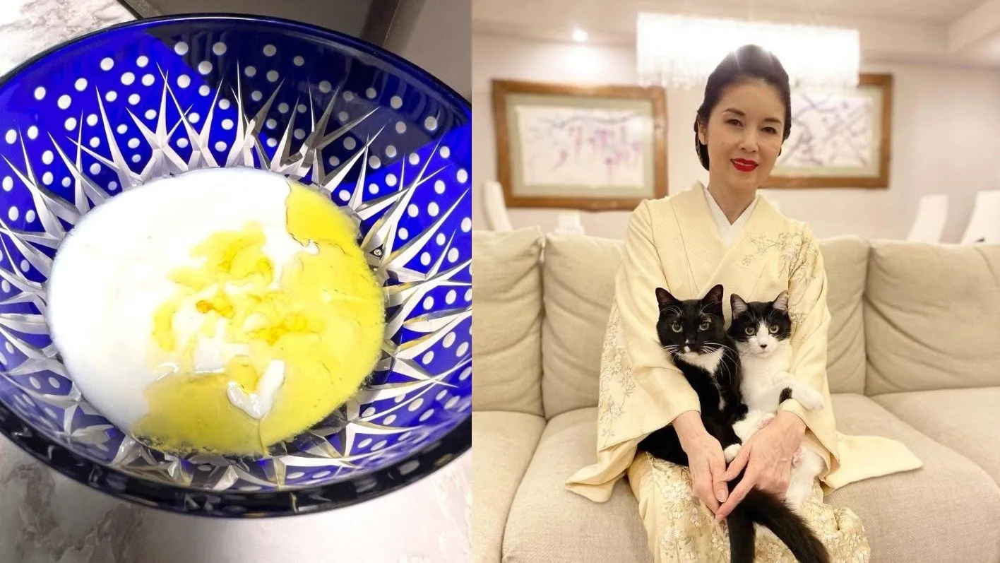 【藤あや子】「毎朝のルーティン」は「あや子特製ヨーグルト」　 “良質な” えごまオイルがマイブーム　昨年5月に子宮体がんの手術を報告　経過は順調